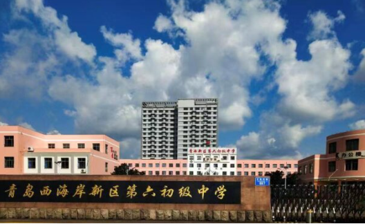 青岛西海岸新区第六初级中学2024年行为习惯养成暨综合教育活动训练成交公告